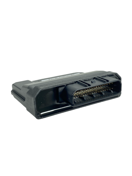 ECU (BUDDY 170i) – Scooterworks USA, LLC