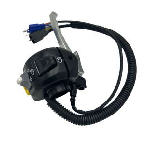 LH switch with lever (Rat 50 <09)