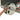 Naraku Crankshaft for 100cc AC Minarelli