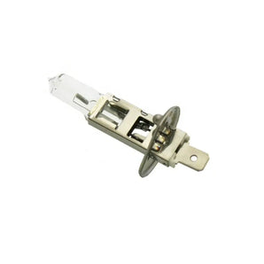 12V 35W P14.5S Headlight Bulb