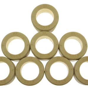 Dr. Pulley 25x15 Round Roller Weights