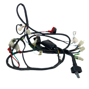 WIRE HARNESS MAIN ASSEMBLY (RA GT150)