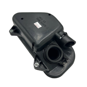 AIR CLEANER ASSY (BUDDY 50)