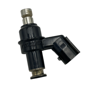 INJECTOR ASSY (BUDDY 170/HOOL)