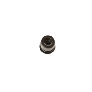 Hexagon Socket Head Screw w/ lock washer (M5x16); NIU KQi