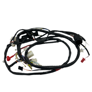 WIRE HARNESS -  2014 AND LATER (BUDDY 50)