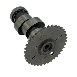 CAMSHAFT ASSY. (BLUR 220)
