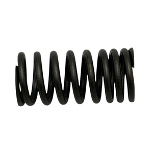 SPRING, INNER VALVE (G400)