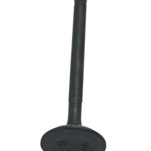 VALVE EXHAUST (BUD 125)