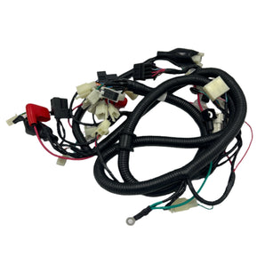 MAIN HARNESS ASSY (BRIO 50i)