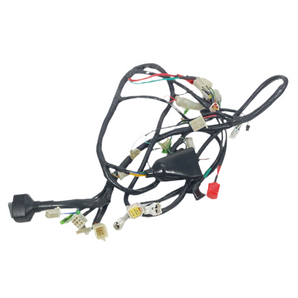 WIRE HARNESS MAIN ASSEMBLY (RA GT150)
