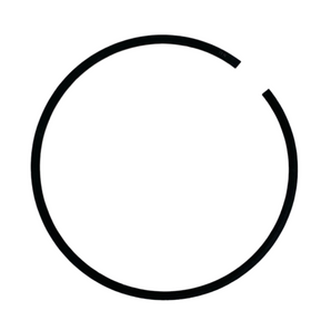 PISTON RING 2 (BLUR 220)