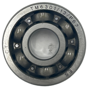 ROLLER BEARING 6301/13/C3-13*37*12 (G400)