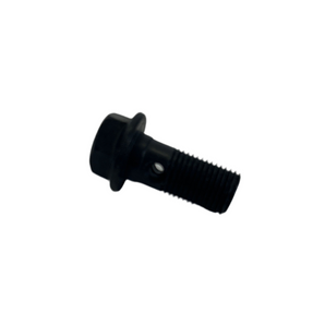 BANJO BOLT - M10*1*22 (GT150)