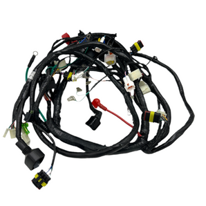WIRE HARNESS - 2022 ONLY (GP300S)
