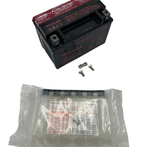 BATTERY ASSY(HOOL/BLUR 220)