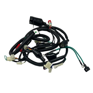 WIRE HARNESS (RATTLER 125)