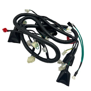 WIRE HARNESS (URBANO 125)