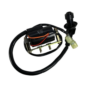 COIL COMP IGNITION (BLUR 220)