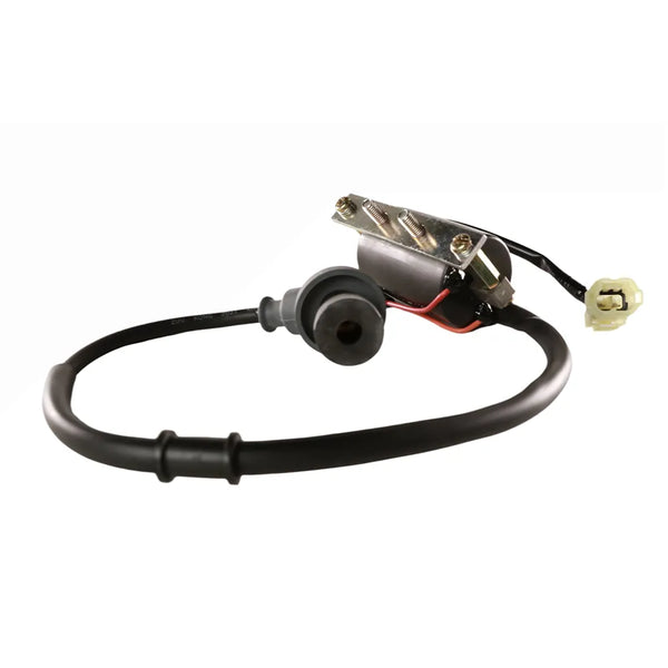 GSC Ignition Coil & Spark Plug Wire - Genuine Buddy 170i GSC Ignition Coil & Spark Plug Wire - Genuine Buddy 170i