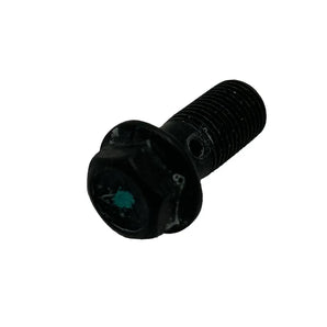 BOLT - M10*1*19, BANJO BOLT, ABS (GP300S)