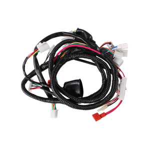 Wire Harness Assy; CSC go., QMB139 Scooters