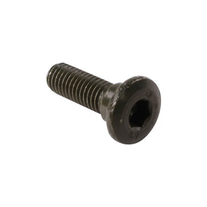 Front Brake Disc Bolt; CSC go., QMB139 Scooters