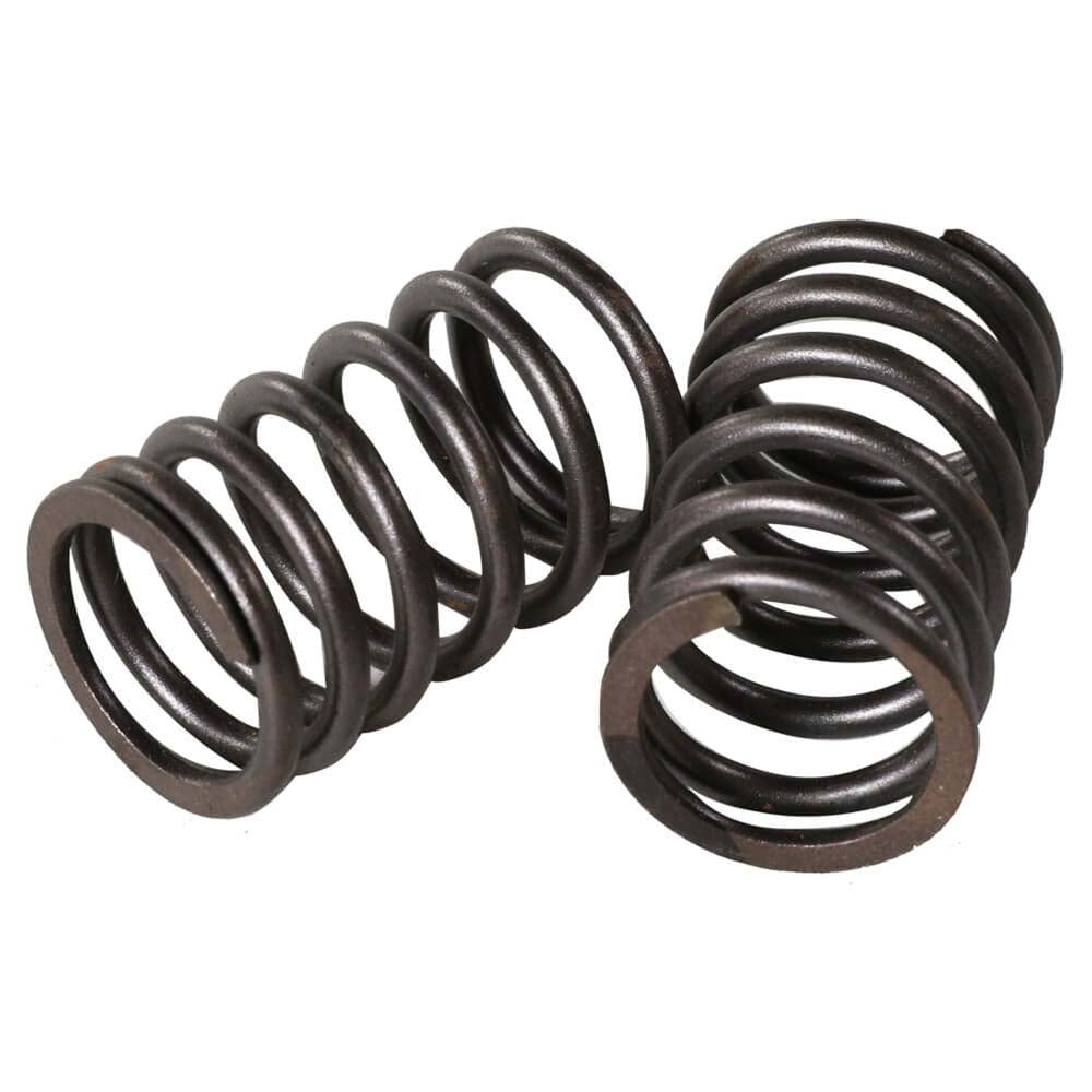 Valve Springs (Outer, pair); GY6 – Scooterworks USA, LLC