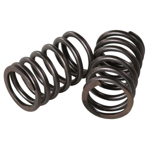 Valve Springs (Outer, pair); GY6
