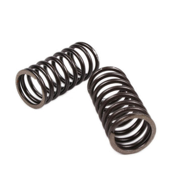 Valve Springs (Inner, pair); GY6