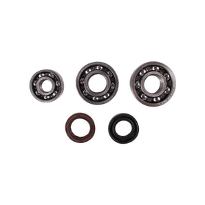 Engine Case Oil Seal And Bearing Kit; CSC go., QMB139 Scoote