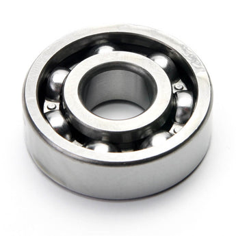 Spring Gear Roller Bearing; Rally, P200