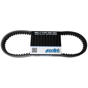Polini Performance Drive Belt (810x22x28); Yamaha Zuma 125