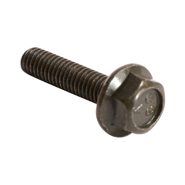 Electrical Mount Screw; CSC Bella, Nitro Sport – Scooterworks USA, LLC