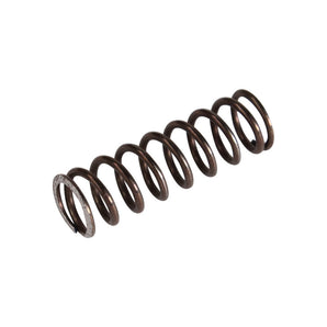 Clutch Spring ( Cosa )