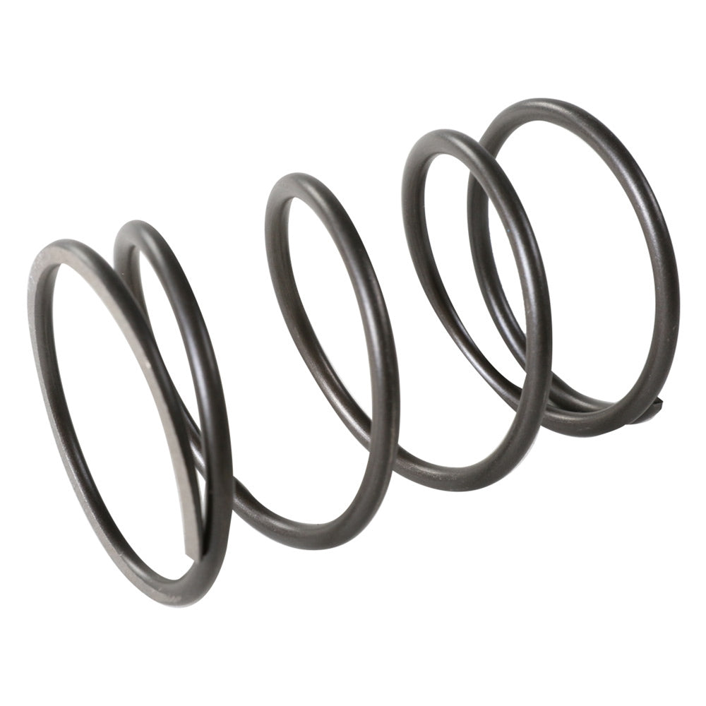Small Spring Slider Slider Spring, Spare Pinasco (Minarelli) – Scooterworks USA, LLC