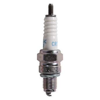 Spark Plug, NGK BR9HS Short